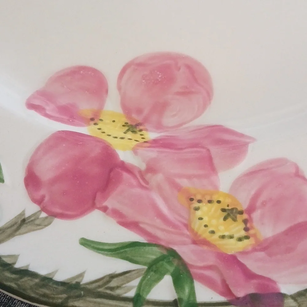 Franciscan desert rose